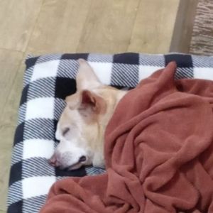 Meet your Posher, Nathaniel